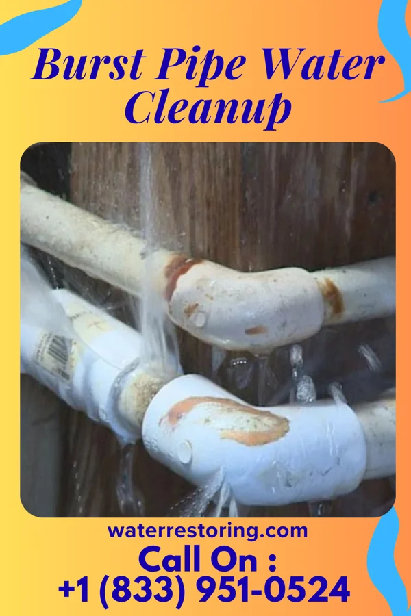 Burst Pipe Water Cleanup in Abbott, TX