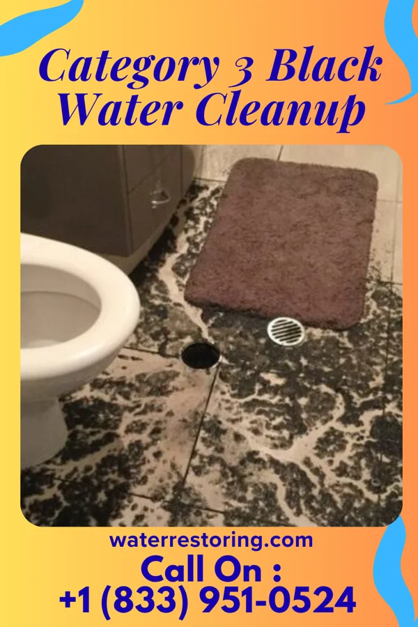 Category 3 Black Water Cleanup in Abbott, TX
