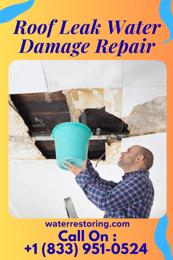 Roof Leak Water Damage Repair in Abbott, TX